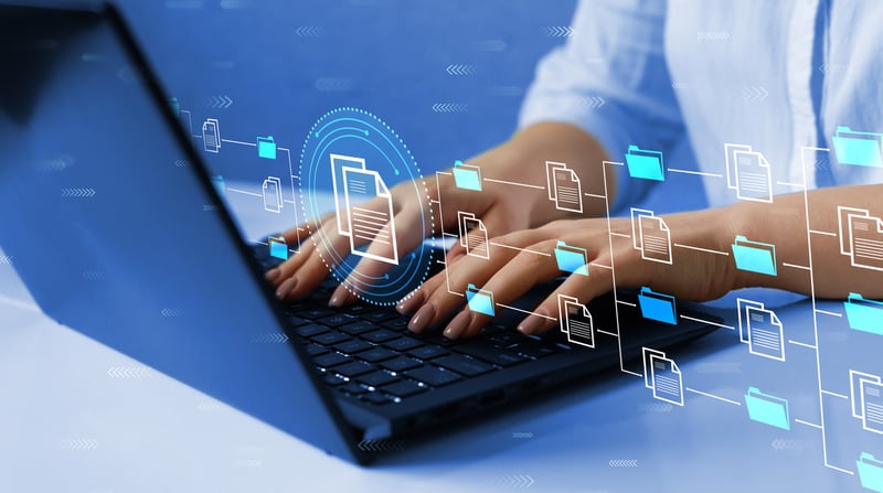 Data Organization_iStock_1405973719